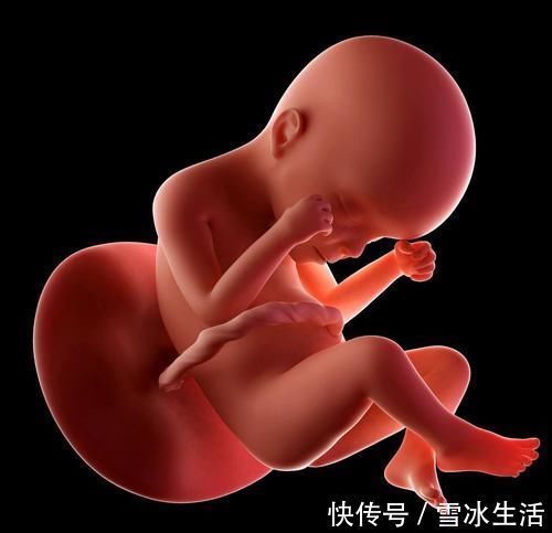 婴儿|孕38周和孕40周出生的婴儿区别何止一点?不了解这些你会后悔