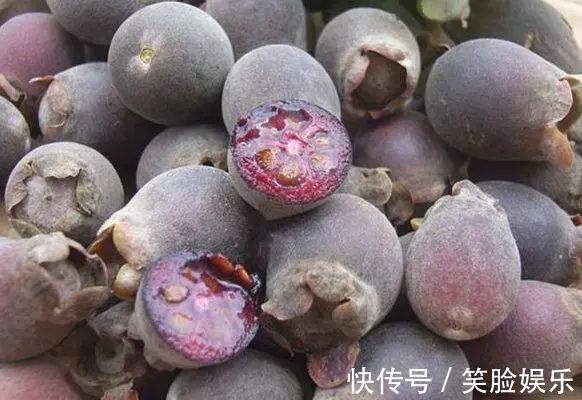 葡萄果肉|“正在消失”的4种农村野果，吃全了的不多，吃过几种