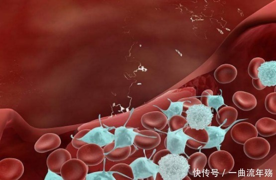 人死后身体里的血液都到哪里去了说出来你都不一定会信,涨知识