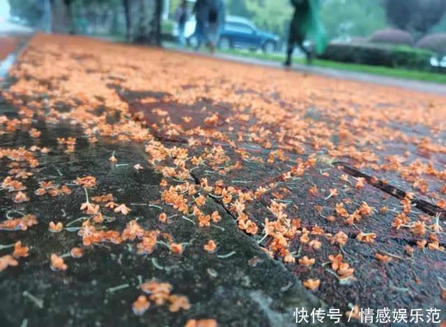 西安|点击查看川农专属气味图书馆