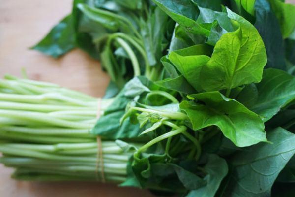 植物蛋白|红薯叶含胡萝卜素,比胡萝卜还高搭配豆腐一起做汤,更有营养