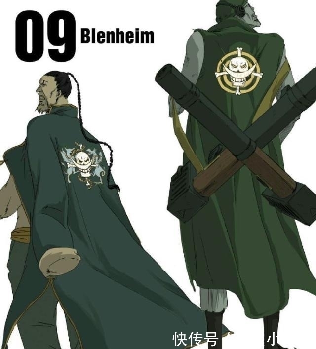 队长|海贼王:白团16位队长简介,顶上战争中放水的有几位?