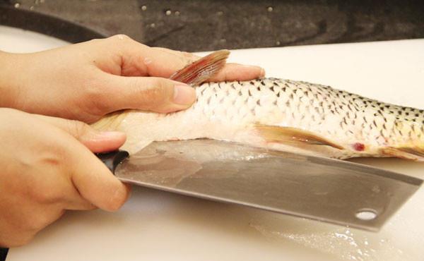 出油|秋冬土里掺点它,君子兰,蟹爪兰,疯狂开花,叶子绿出油