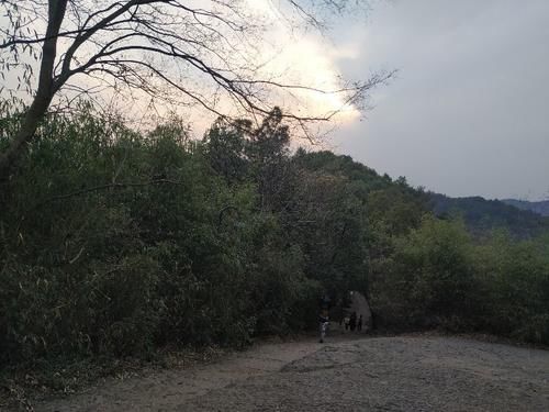 东晋|谁说杭州只佛寺闻名？西湖边还有一座东晋时代的道院，离繁华咫尺