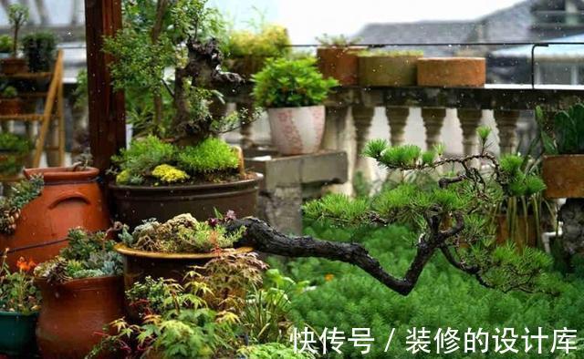 鱼池|为了露台他买下顶楼,一番大改后过上了田园生活,让人羡慕!