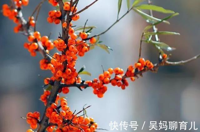 脾胃|两种食物“影响”孩子长个,有些家长并不知,医生:多了解多受益