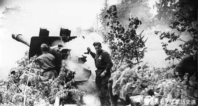 国家|二战时期，因为这个国家，日本人在战场上无一生还