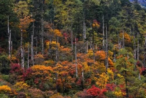 自驾怒江大峡谷，300里秘境，被誉为“神人共居之地”