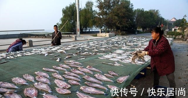 鲢鱼|“四大家鱼”是哪四种鱼别再答错了,鲤鱼和鲫鱼都不是!