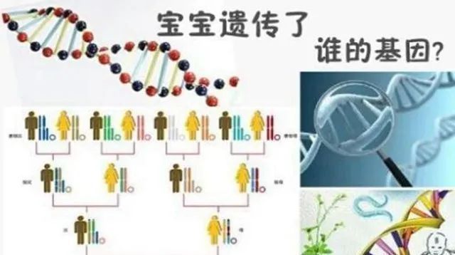 宝妈|孩子这三个部位遗传父母的几率最高,不分男女,挺准的