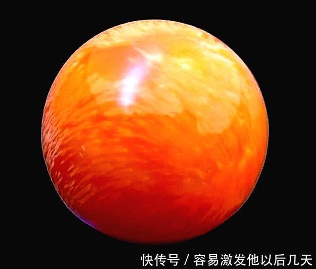 海螺|自然界行走的“彩票”，“吃”出一颗堪比中大奖！