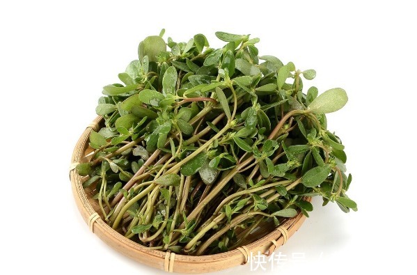 小根|65种野菜图片,带你认识不同的野菜和吃法,你想要的野菜这里都有