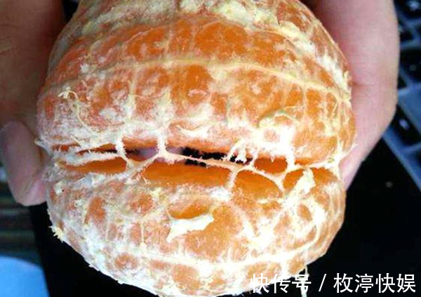 长寿是“省”出来的,这些被你丢掉的“边角料”,都是养生高手!