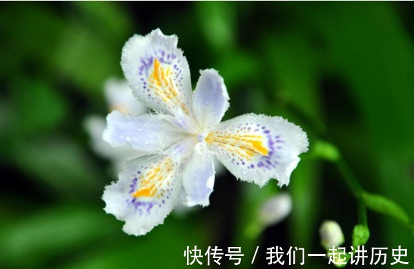 无论多缺钱，都要“舍得”在4个方面花，才会越花越富有！