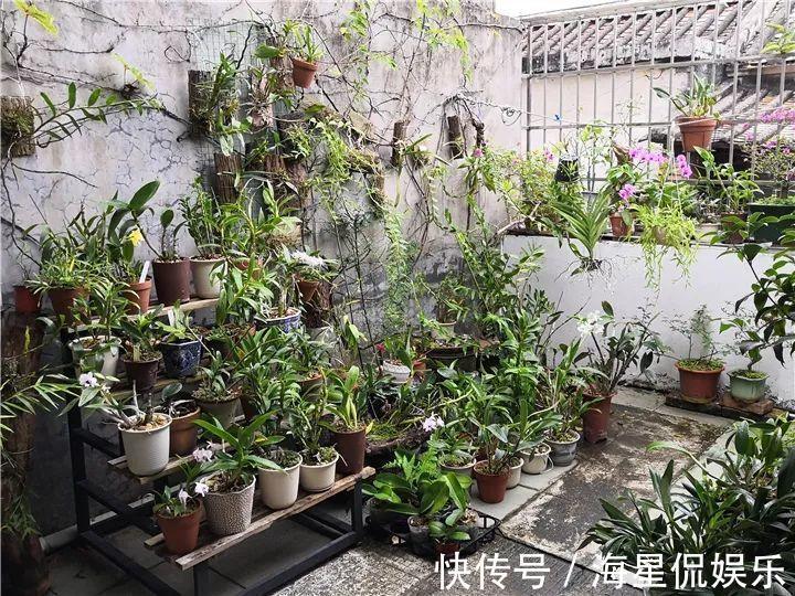 天后|10个养花的坏习惯,赶紧改,不然真是浪费钱!