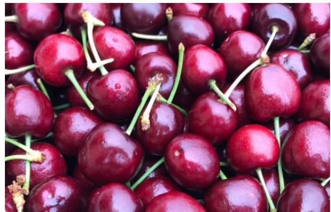 老人|老人为了身体健康每天坚持锻炼,多吃3种长寿果,寓意寿比南山