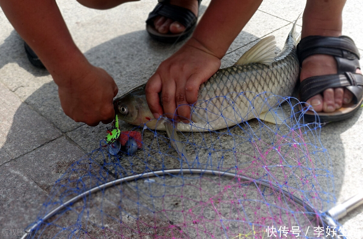  打开|冬季鲫鱼从这3点入手轻轻松松打开鱼口，钓了这么多年才知道