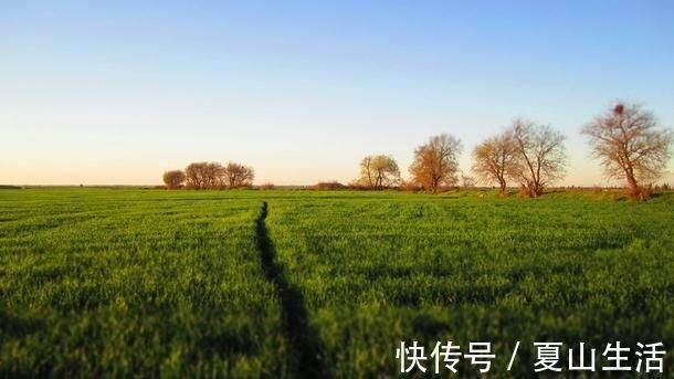 埤雅|宝宝名推荐:10个气质高贵的诗经新生儿名,在下服了