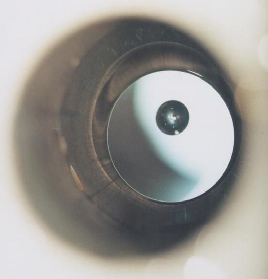 把人放进强磁场中会怎样？科学家用青蛙做实验，得到一只反重力蛙