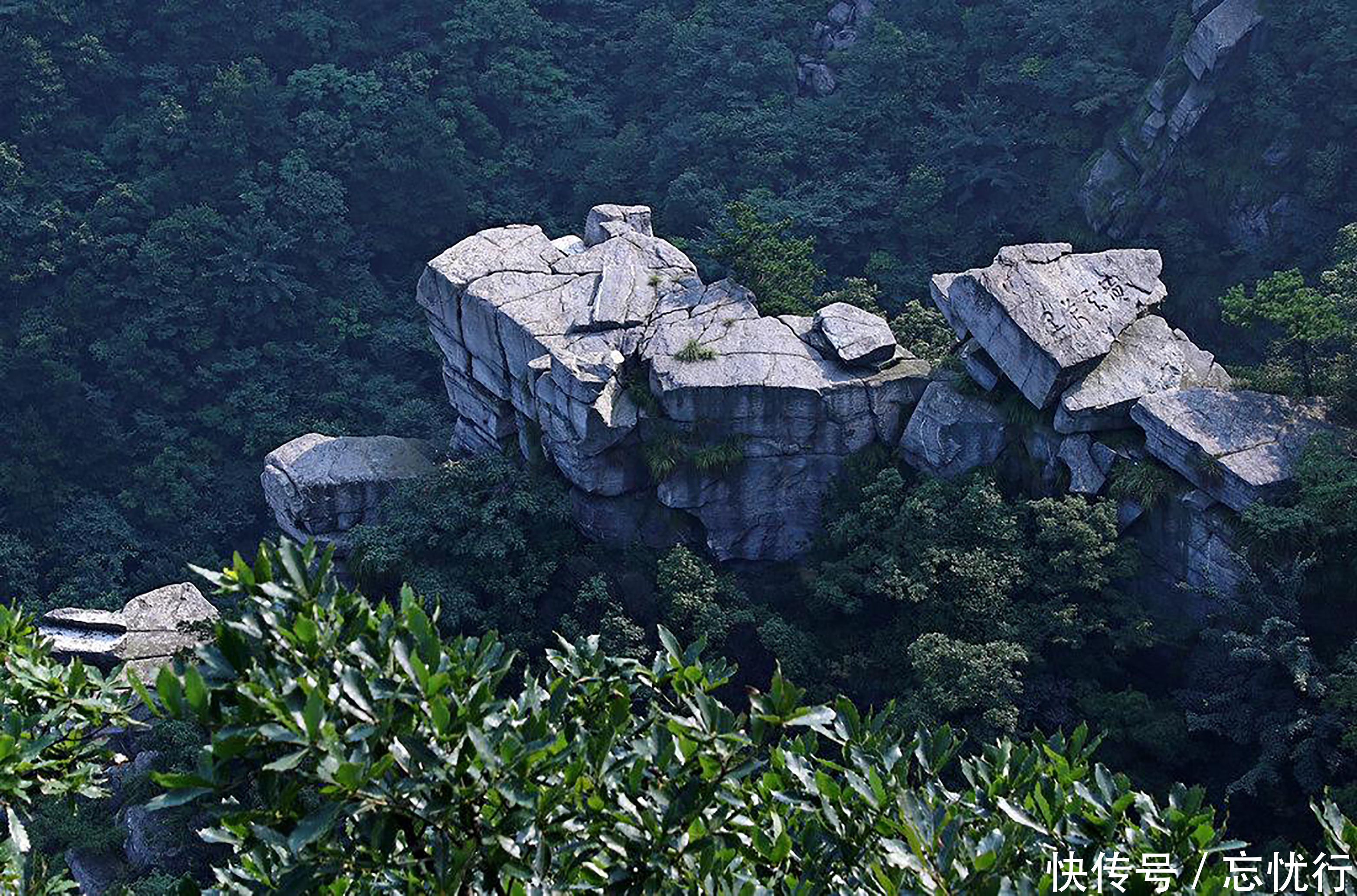 庐山|庐山谷深壑幽的峡谷，峰岭秀山奇石怪异，这里的美景确实值得一游