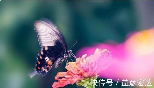 清明&宋词之前最美的一首《蝶恋花》,意境美,韵味足,是词坛千古名篇