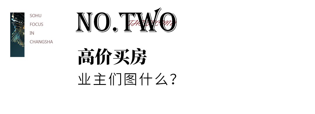 业主们|正荣紫阙系,能撕掉“高价低配”标签吗?