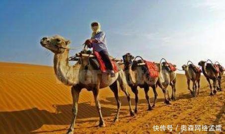 她传播了一项中国的绝密技术,在外国被称为公主,她是谁?