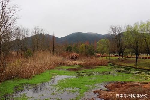 两条溪水汇成的湿地，周边都是优美的风景，再过一个月就是最美时