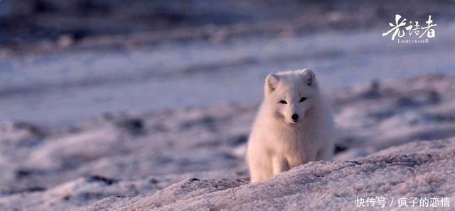 愿有|《光语者》愿有光,照见你!东方文化语境下的孤独和震撼