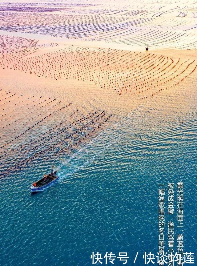 大连|大雪,大连,大生机