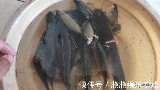 钓具|前天爆护连竿的地方,隔天垂钓却不见一口!幸亏遇到老者道出缘由