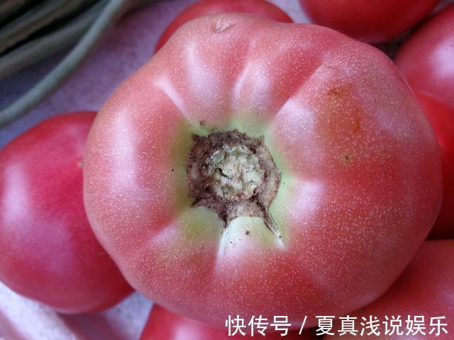 沙瓤|买西红柿就要挑“母”的,沙甜又多汁,学会这4招,一挑一个准