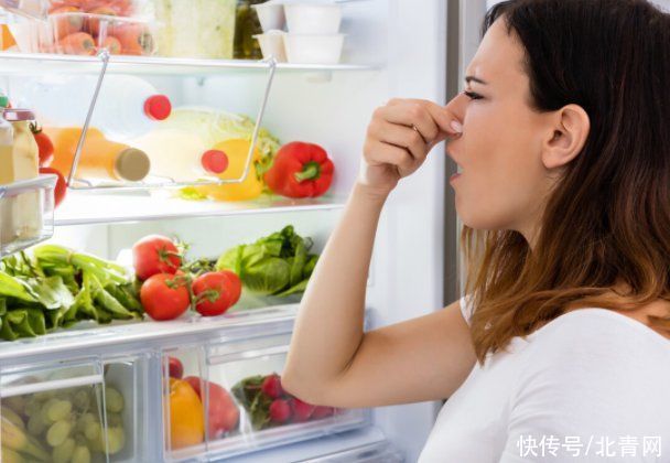 热饭|饭菜不能等凉了再放进箱，记得一定要趁热放冰箱