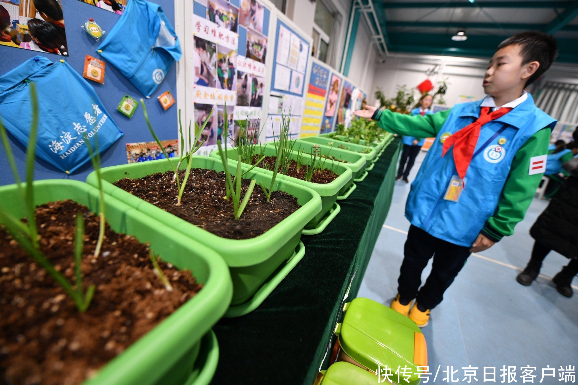 小学|海淀这所小学和社区携手 垃圾分类从孩子抓起