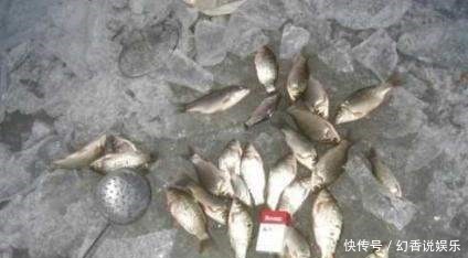 一动|冬钓想要有鱼口,一动不如一静,冬钓想要有渔获,一静不如一动