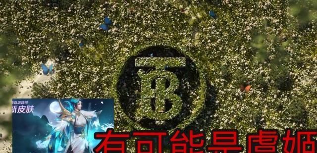 情皮|王者荣耀：虞姬有望出联动合作新皮，梦泪一句道出真相，纤云弄巧似瑶的情皮