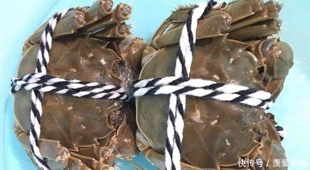 母蟹|买的“螃蟹”总是发苦膏少,掌握两个小技巧,挑的螃蟹肉肥膏满!