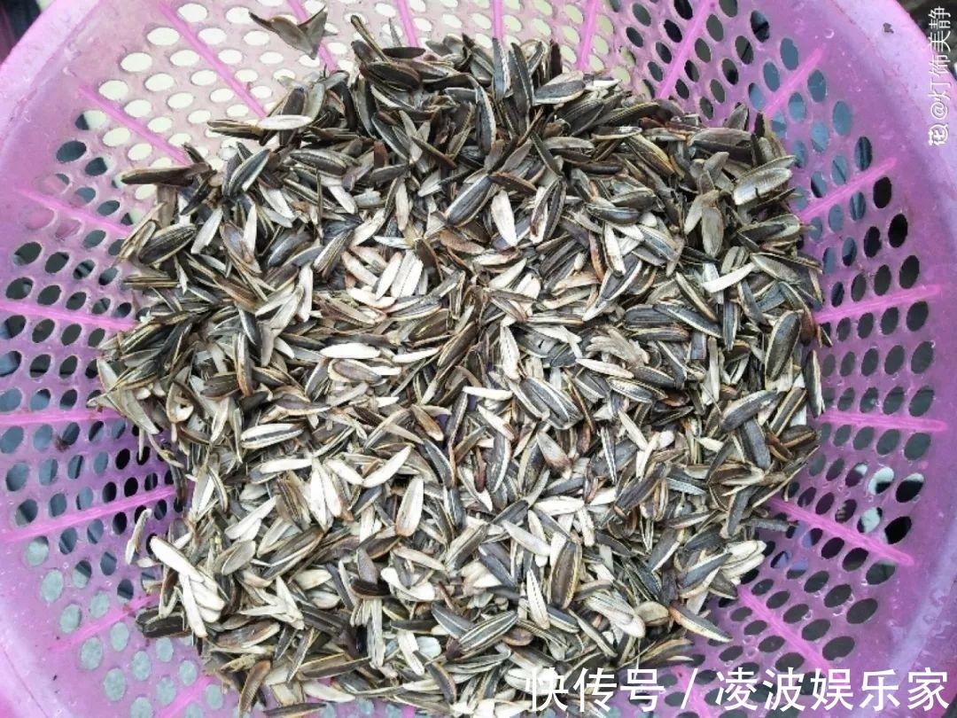 养花|换盆用它垫盆底,养花效果非常好,花卉越长越旺盛!