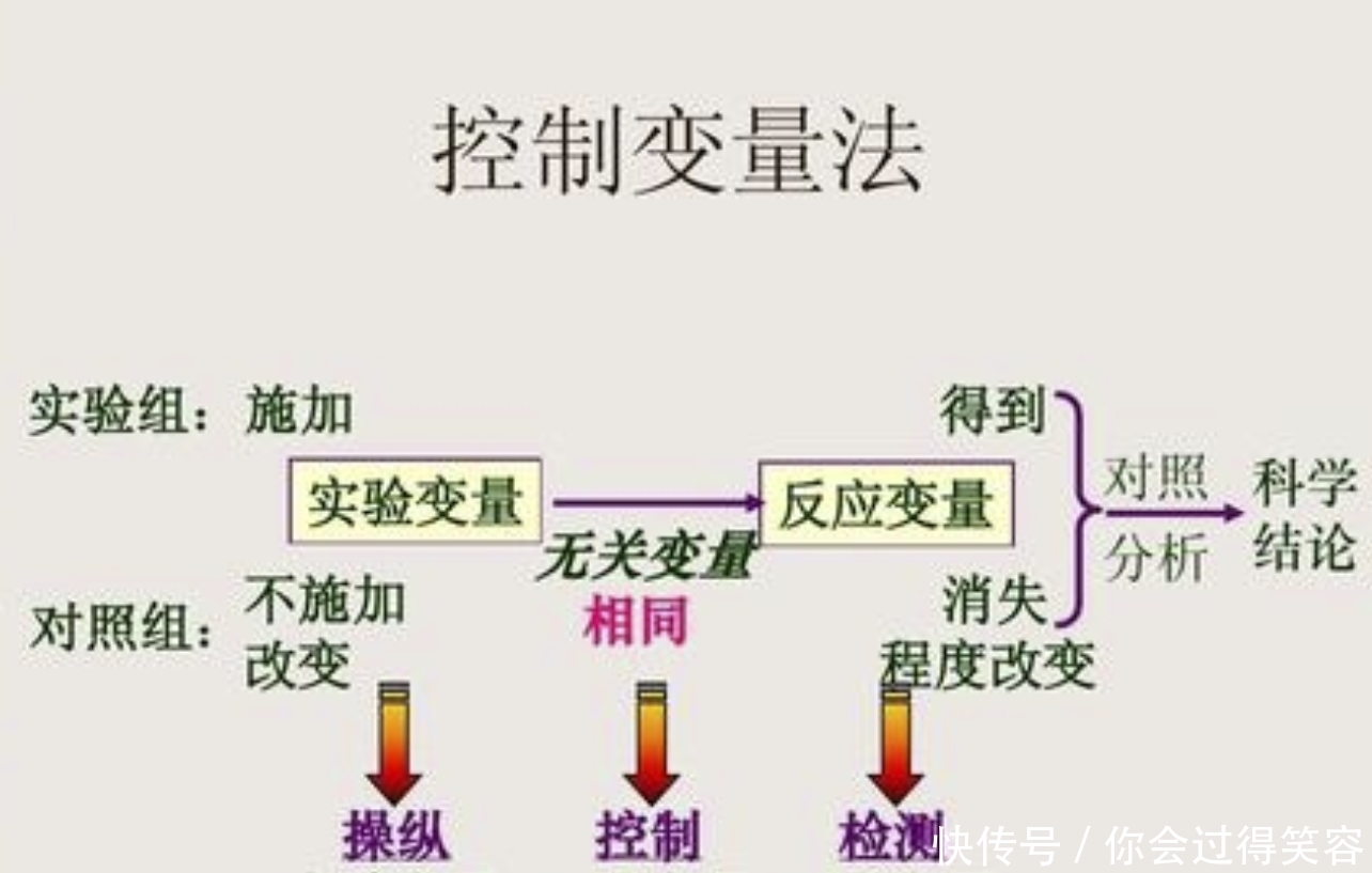  一斤水中加入一斤盐，难道不是两斤总重吗？这隐藏着什么奥秘？