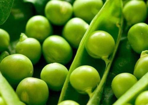 血糖|糖尿病“最怕”的4种食物，再穷也要经常吃，或血糖渐渐降下来