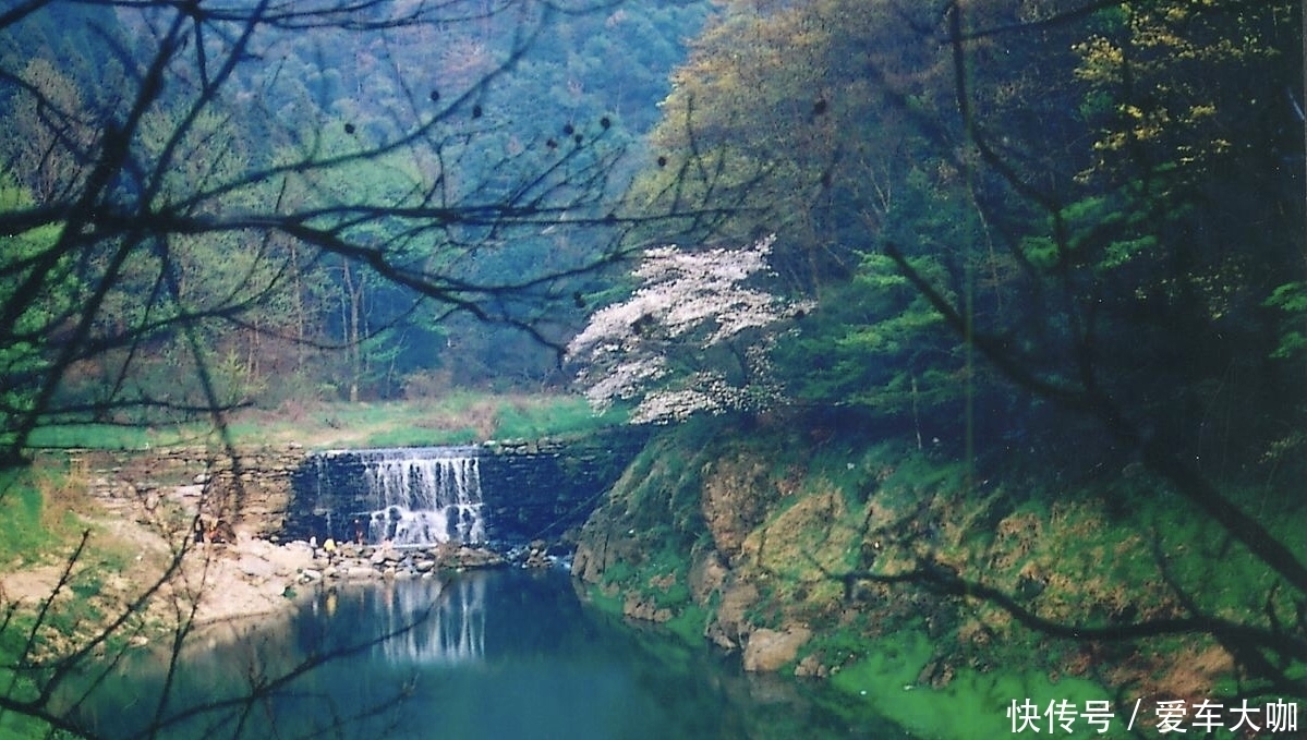 人间四月芳菲尽，山寺桃花始盛开，从南昌到庐山的寻春之旅