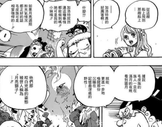 海贼团|海贼王理性分析!草帽海贼团第十人,到底是加洛特还是大和!