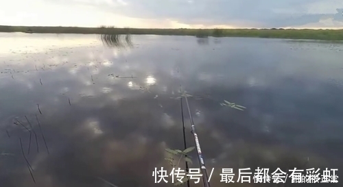 鲫鱼|打窝2天后再去钓鱼,每一条鲫鱼都很肥,是野生鲫鱼?