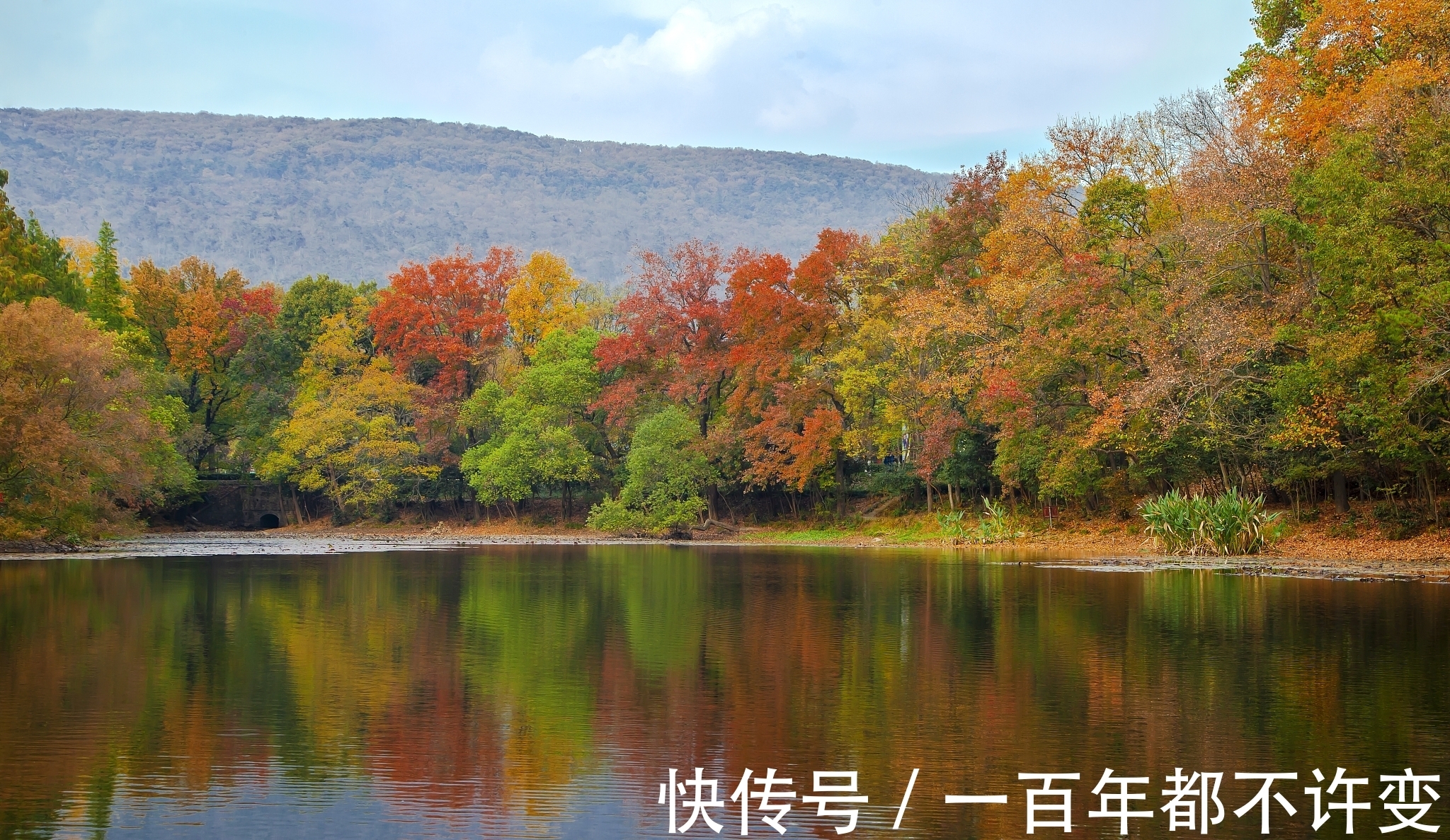 襄邑道中&一首来自宋朝的诗,最后两句尤其经典,可惜好多人没读过