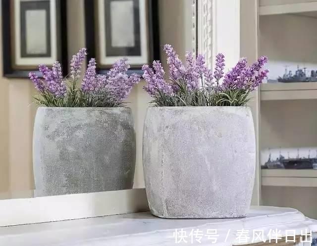 睡眠质量|卧室有一盆这样的绿植,再也不担心失眠了