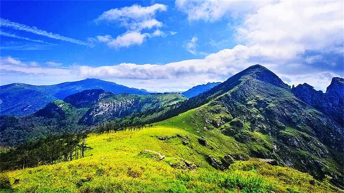 华山|比华山还高700米的光头山草甸，风走云游很惊叹