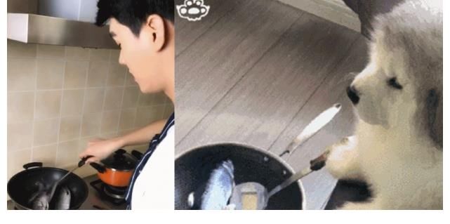 龚俊|龚俊中餐厅5路透，带锅上班可还行，全用张哲瀚代言产品好严谨