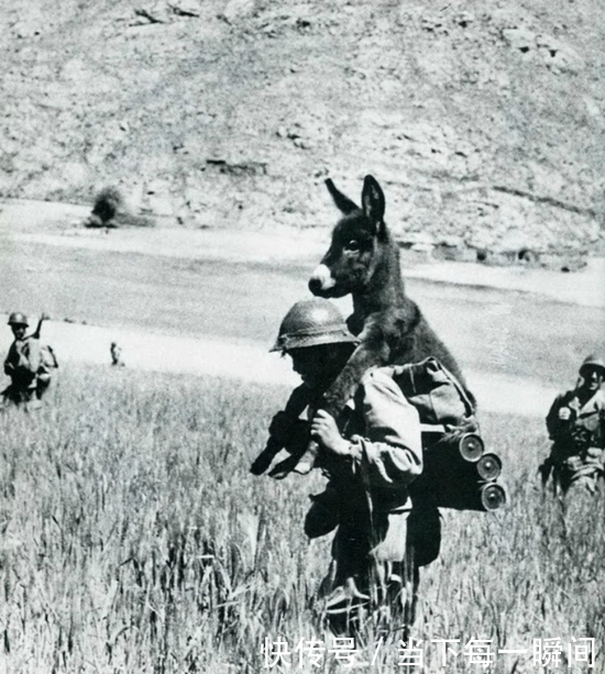 忍俊不禁|18张让人忍俊不禁的老照片