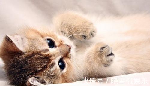 |幽默笑话:过年家里安排相亲,我骑电瓶车去见面,没看中