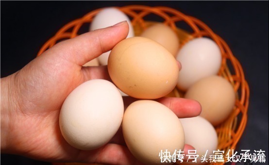 才知道,红壳鸡蛋和白壳鸡蛋,区别这么大,很多人不懂,别买错了
